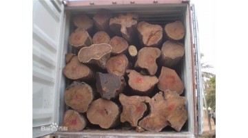 Wood knowledge: pterocarpuserinace
