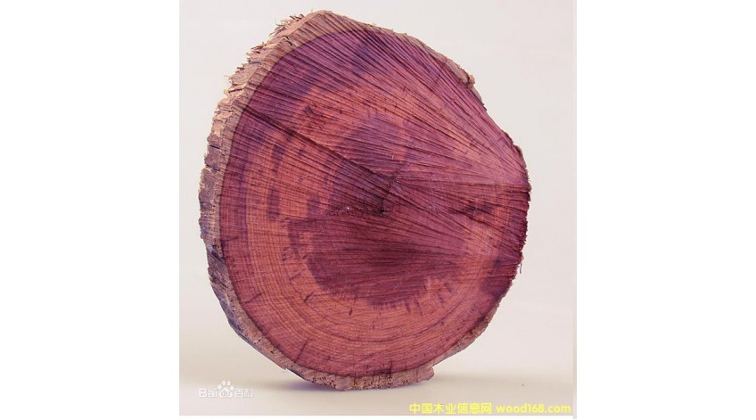 Wood presentation: Africa Rosewood